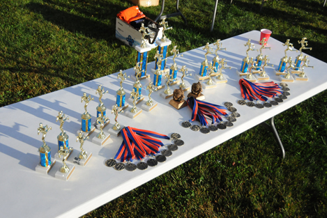 trophies&ribbons.jpg